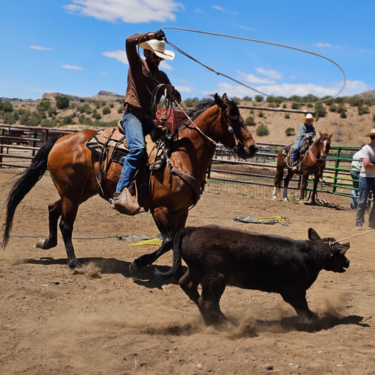 What’s New on the Range? The June Grass-Finished Gazette Is Live!